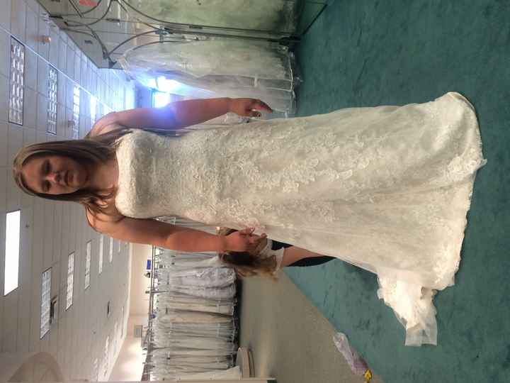 Let's see everyone's dresses
