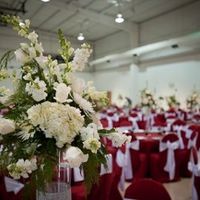 flowers, flowers, flowers OH MY!