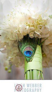 for the peacock brides