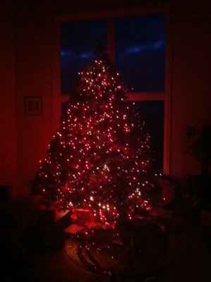 NWR - Lets See your Christmas Trees!!!!!