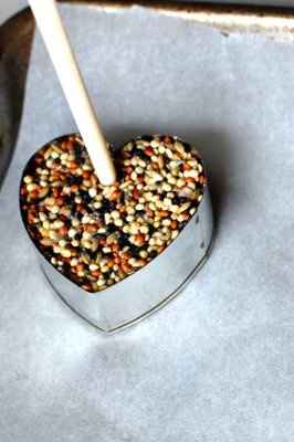DIY Birdseed Hearts