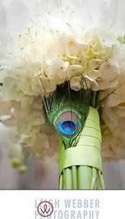 for the peacock brides