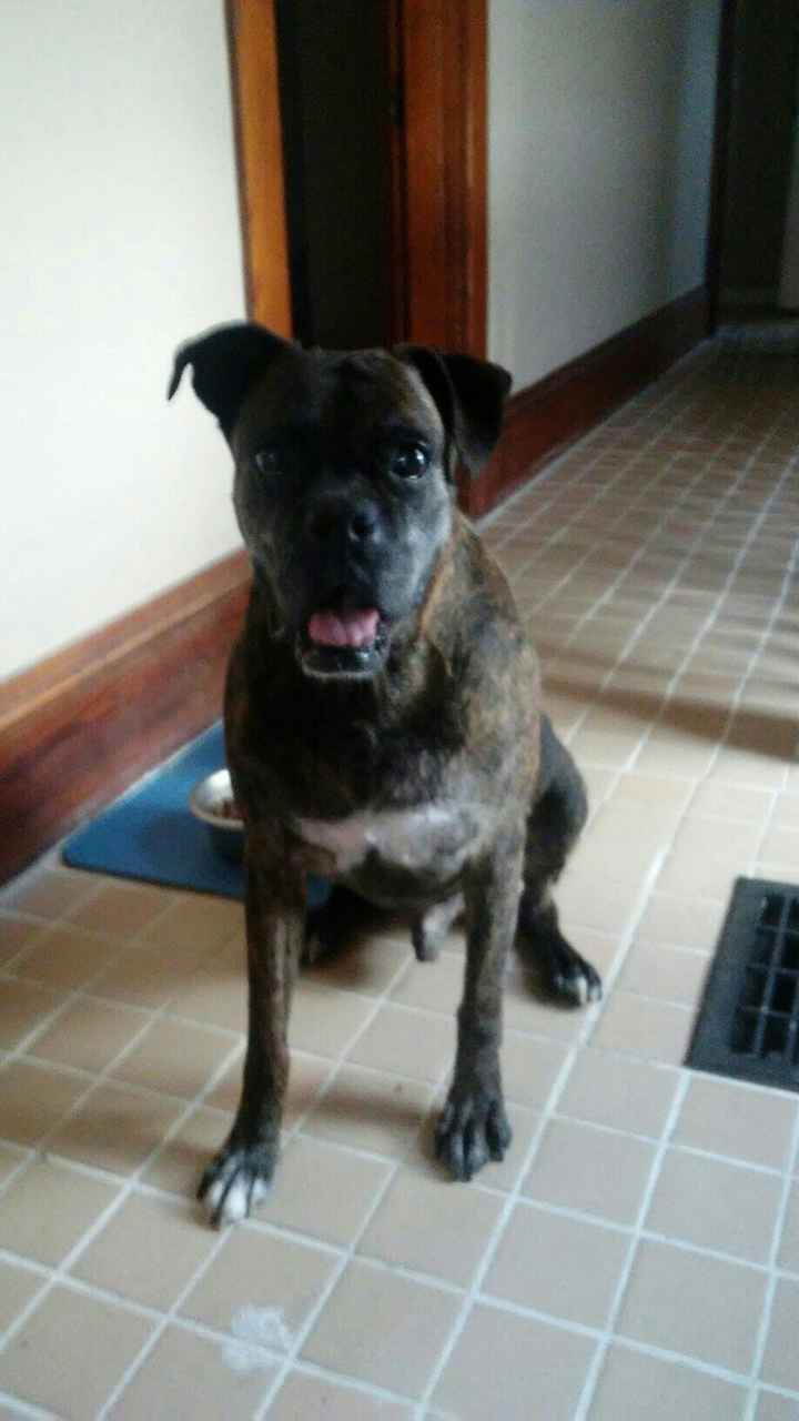 Nwr- show me your fur babies