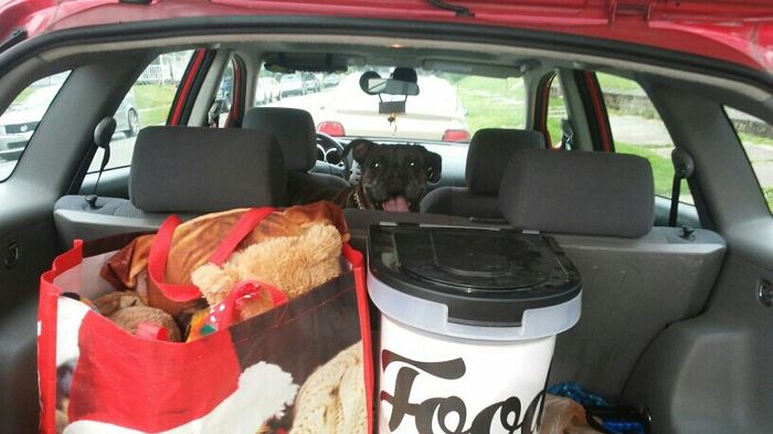 NWR: got a dog!
