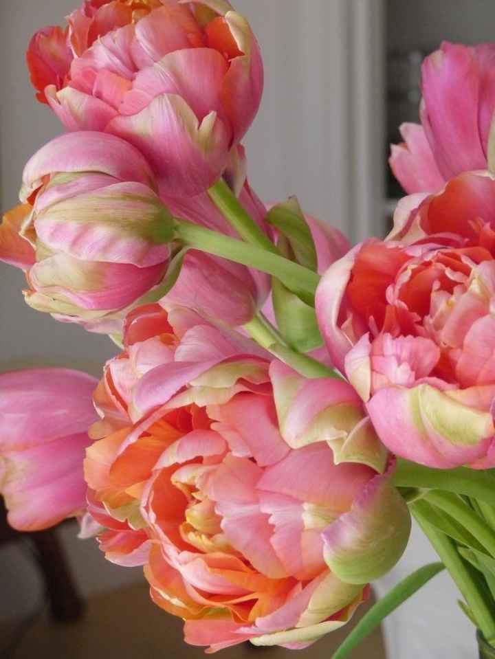 Flower combinations