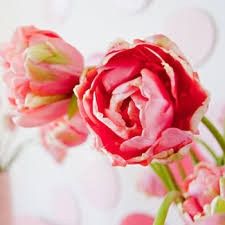 Flowers make me happy!