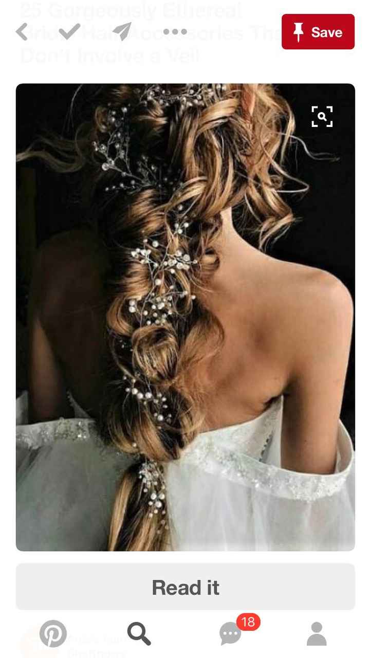 Hair opinion: curly braid with vine... and veil? - 2