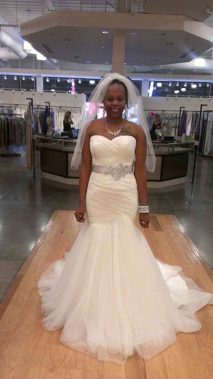 I said YES to the DRESS!!!! (pics included)