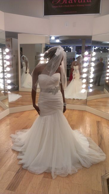 I said YES to the DRESS!!!! (pics included)