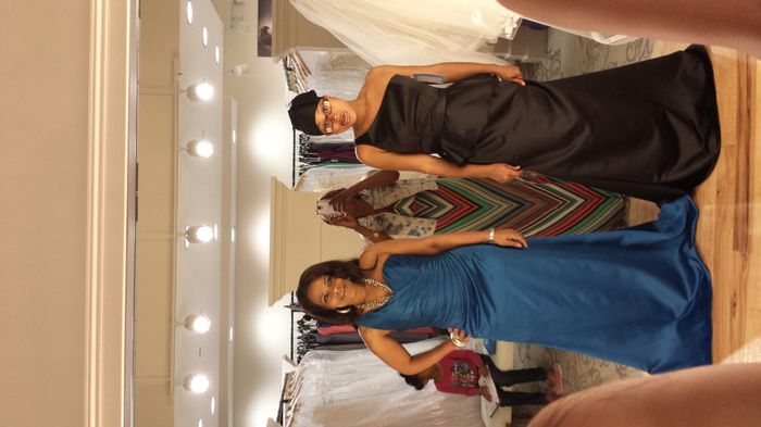 My BM'S and MOH said yes to the dress (pics included)