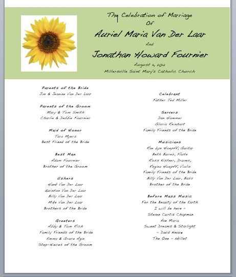 Adviced wanted....designing my own programs