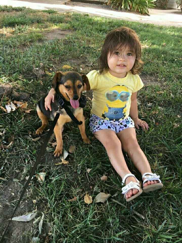 NWR: National Dog Day!