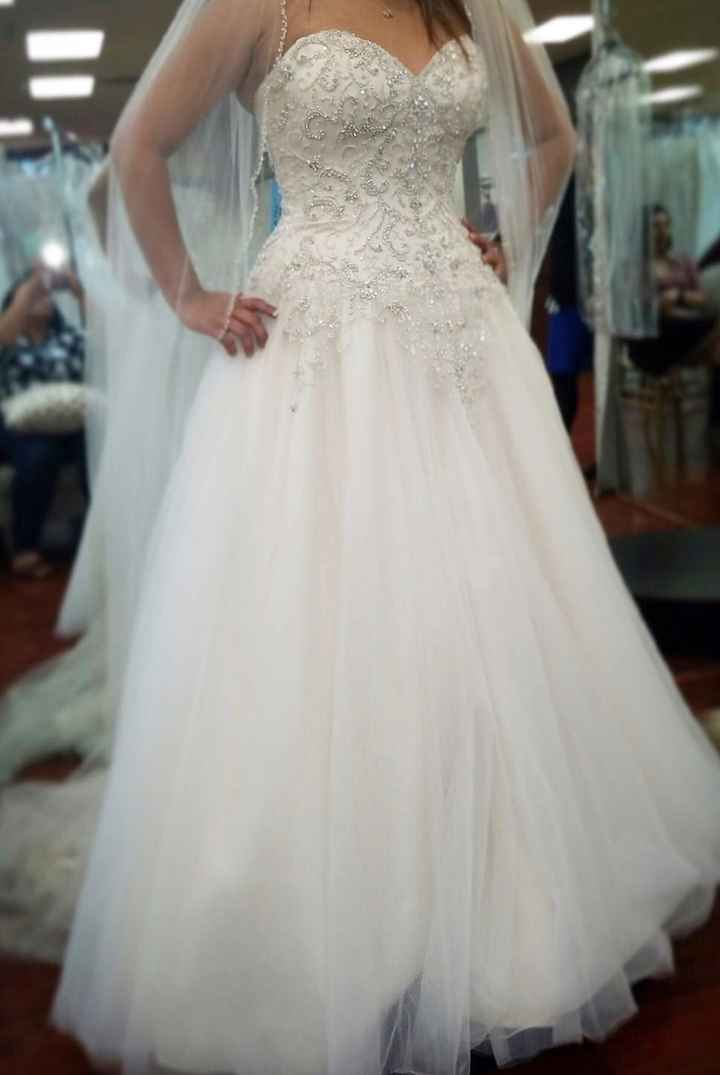 Yes to the Dress!! Or did I ? Helppp