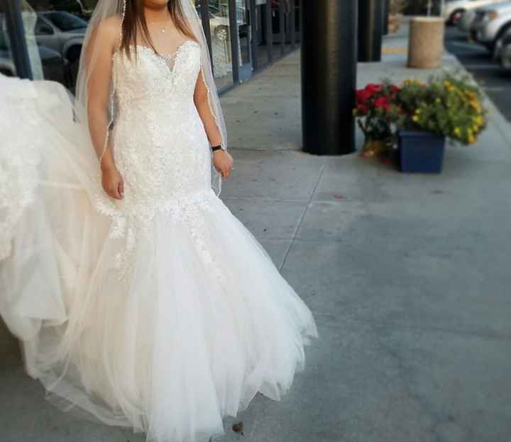 Yes to the Dress!! Or did I ? Helppp
