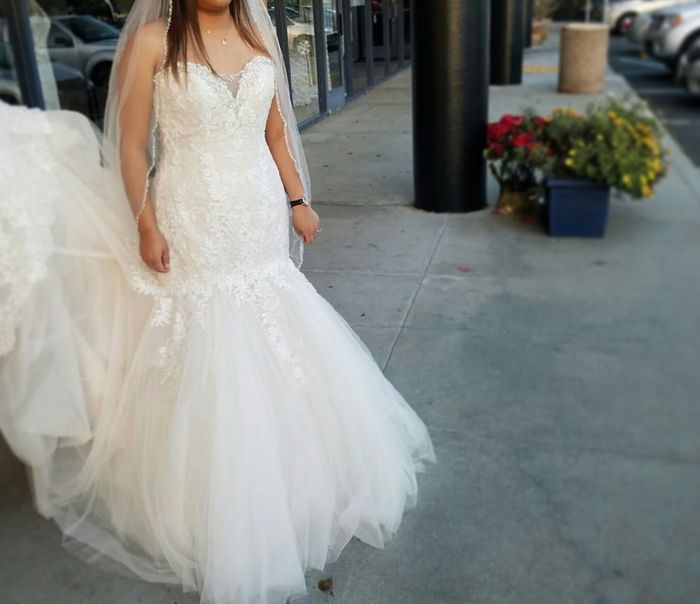 Yes to the Dress!! Or did I ? Helppp