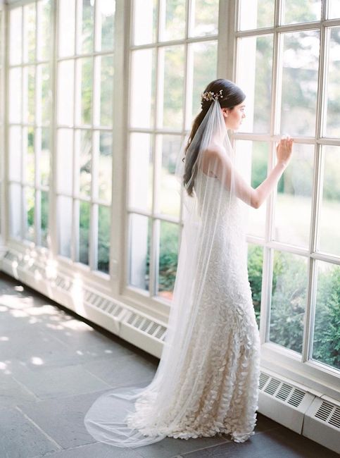 Veils - 1