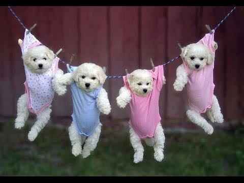 Hey Mods! @WWLaura @WWCathy you are needed at night!