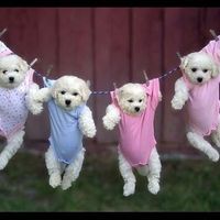 Hey Mods! @WWLaura @WWCathy you are needed at night!