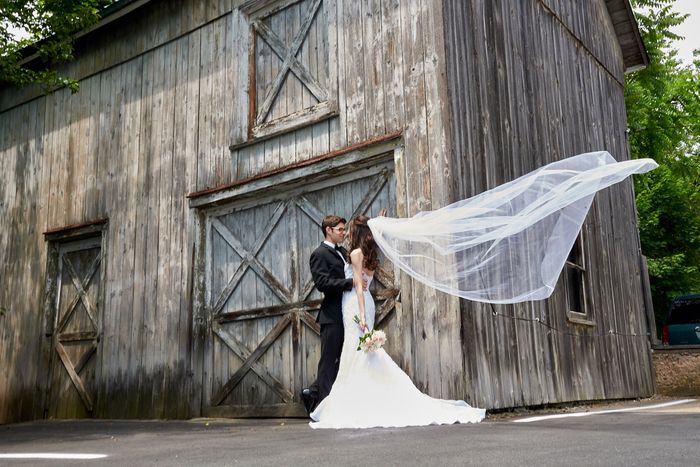 Cathedral Veil: Yay or Nay? 2