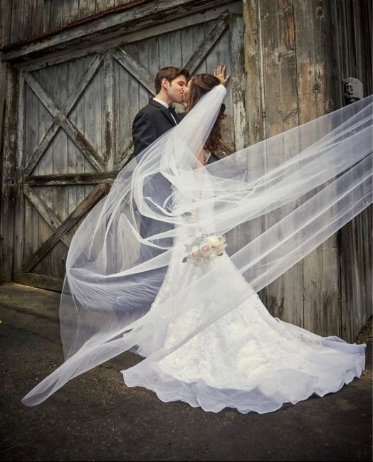 Veil decisions 3