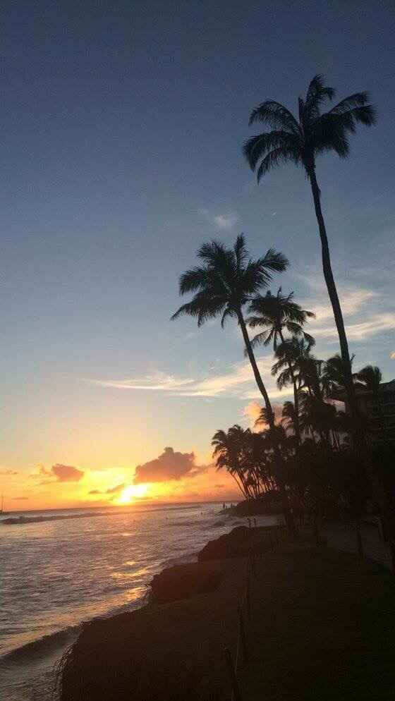 Hawaii honeymoon - private enough? - 3