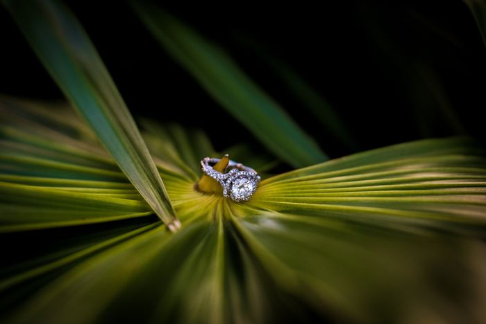 2023 Brides - Show us your ring! - 1
