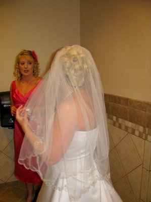 Matching Davids Bridal Tiara and Veil for Sale