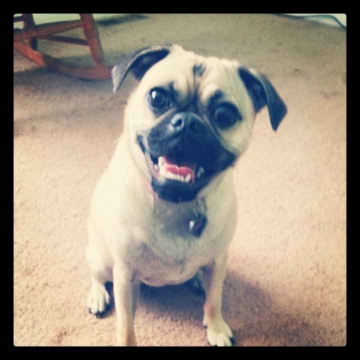 A belated introduction!