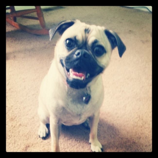 A belated introduction!