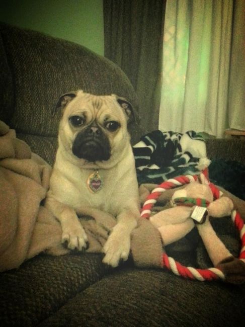 A belated introduction!