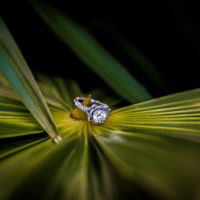 2023 Brides - Show us your ring! - 1