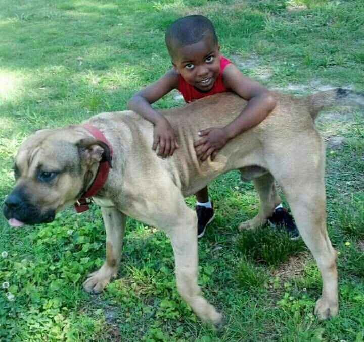 NWR: Bored? Show off your pets!