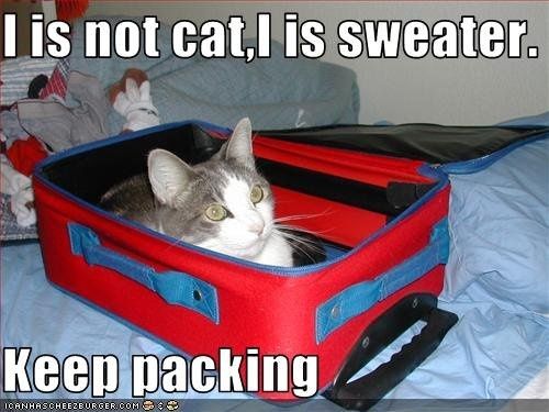 Mrs S ... We need to start another funny Cat thread!