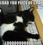 Mrs S ... We need to start another funny Cat thread!
