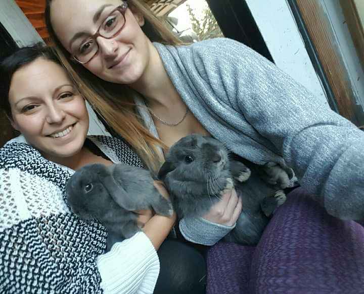 Show off your fur babies!