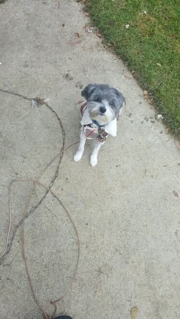 Show off your fur babies!