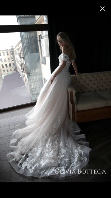 Wedding Dress Help! 2