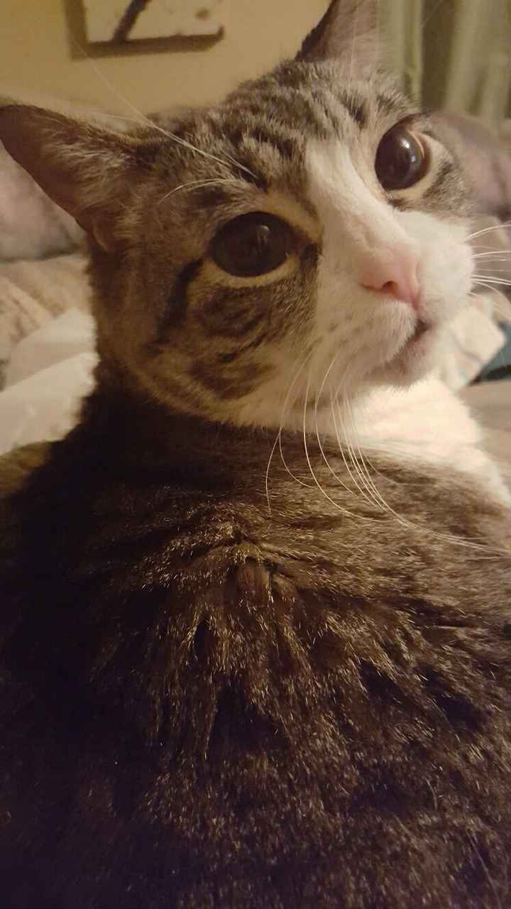 What are you doing this Monday evening?!