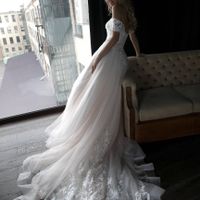 Wedding Dress Help! - 2