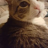 What are you doing this Monday evening?!