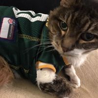 Positive thoughts and pictures of fluffy pets please