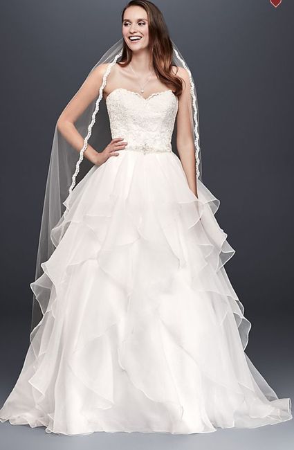 Wedding dress cost! Getting pricey!