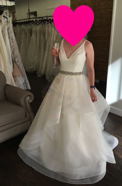 Wedding dress cost! Getting pricey!