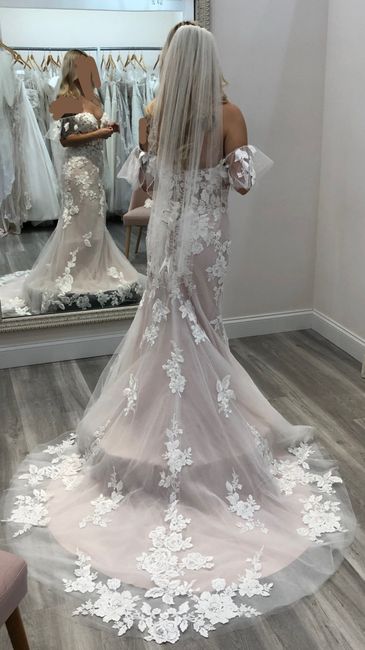Cathedral veil or Finger tip veil? 2