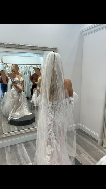 Cathedral veil or Finger tip veil? 5