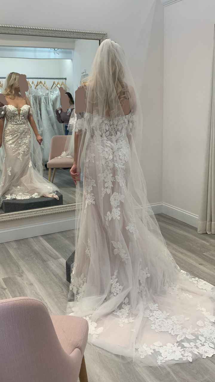 Cathedral veil or Finger tip veil? - 1