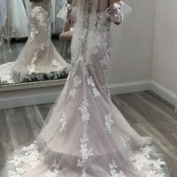 Cathedral veil or Finger tip veil? - 2