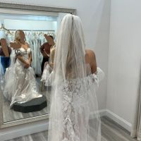 Cathedral veil or Finger tip veil? - 2