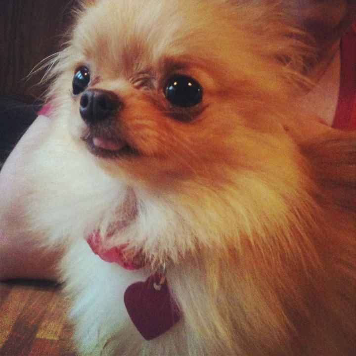 I'm in need of a post like this! {POST YOUR PICS!}