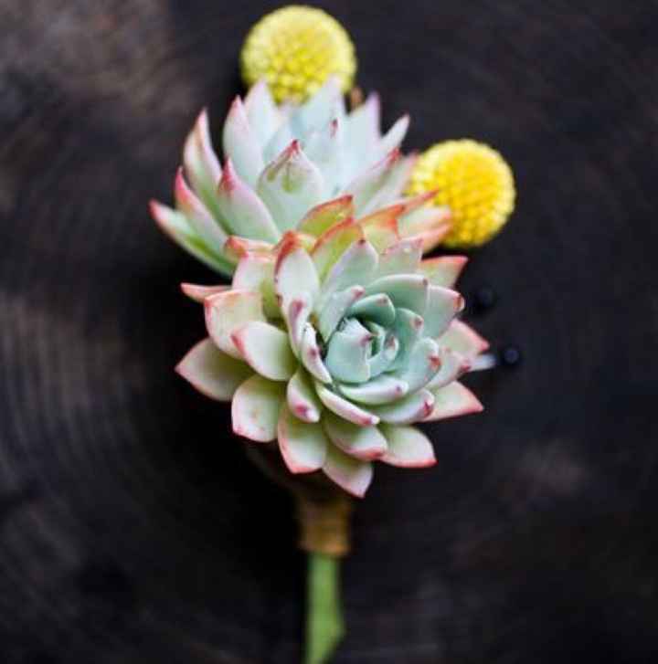 Wine and what? (Attire Advice Wanted)